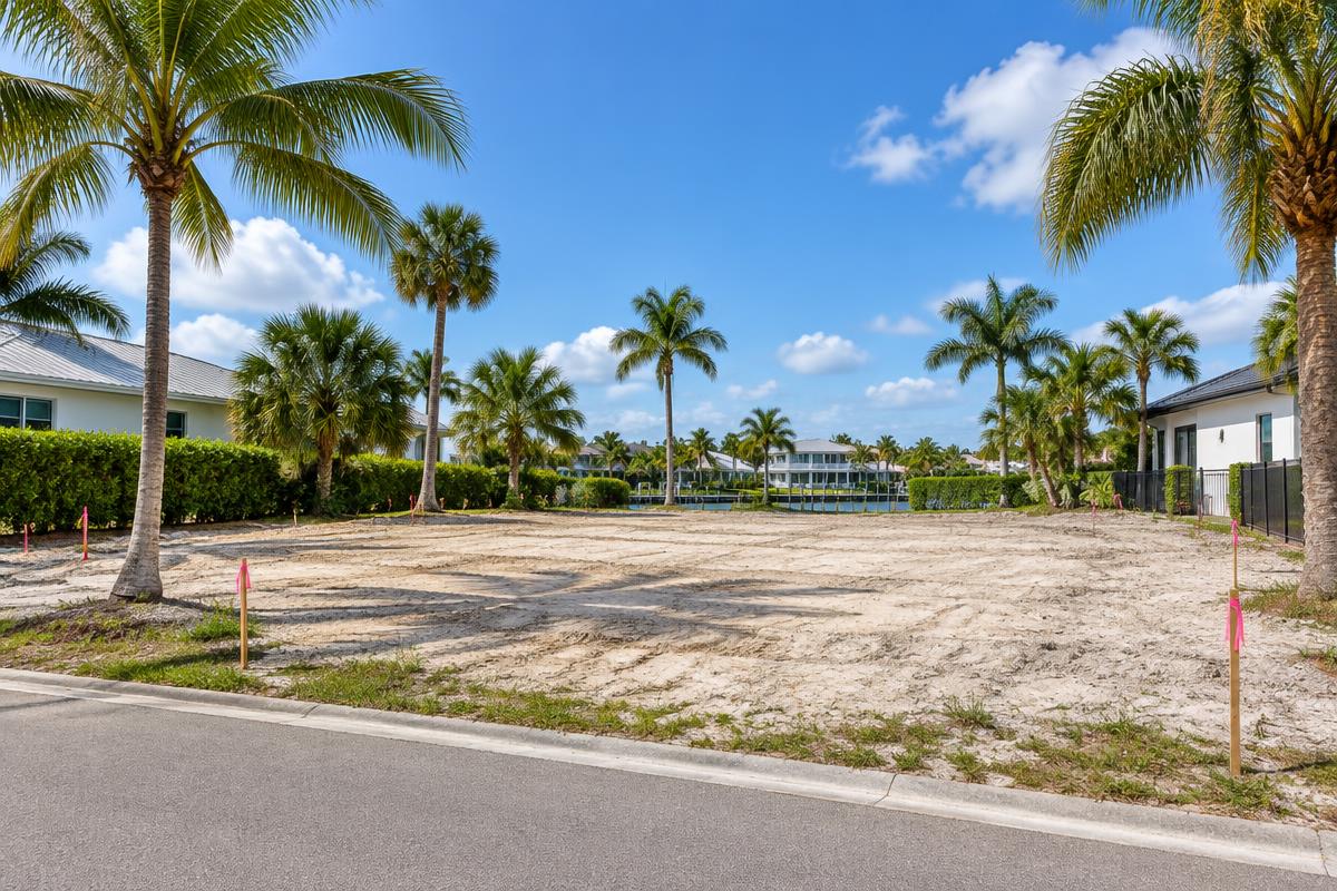 Rendering — the lot before construction, Tampa, FL